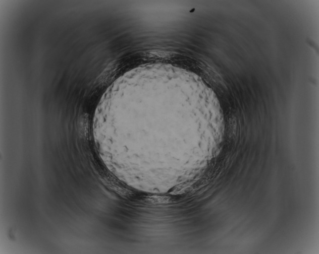 X0000097470328200803201453