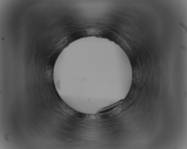 X0000097470329200803201453