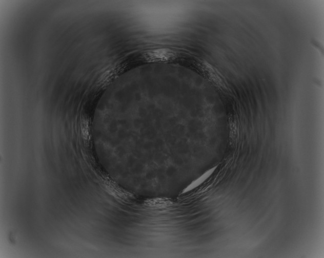 X0000097470331200803201453