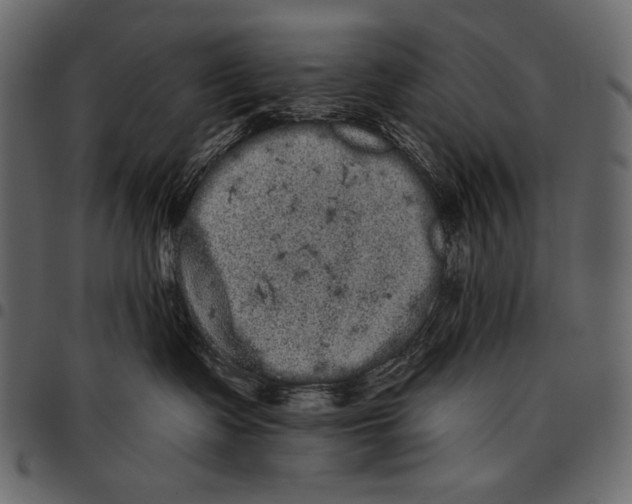 X0000097470335200803201453