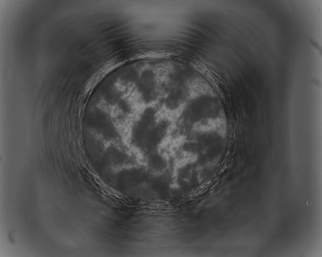 X0000097470337200803201452