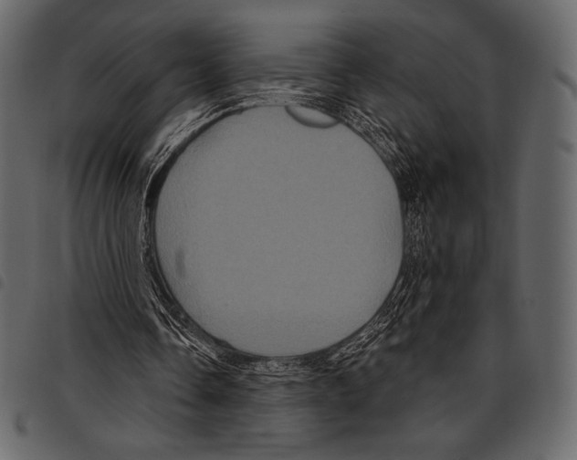 X0000097470338200803201452