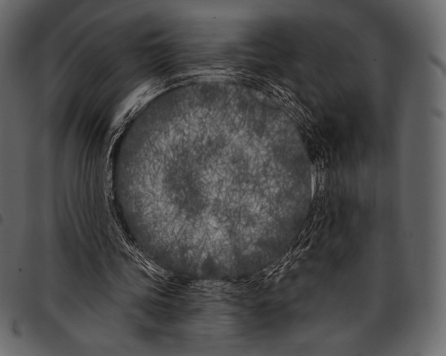 X0000097470339200803201452