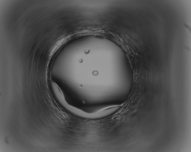 X0000097470340200803201452