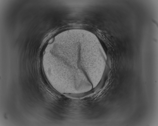 X0000097470342200803201452