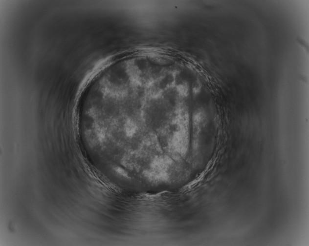 X0000097470343200803201452