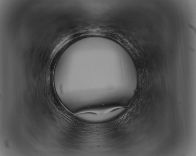 X0000097470344200803201452