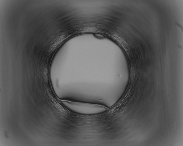 X0000097470345200803201452