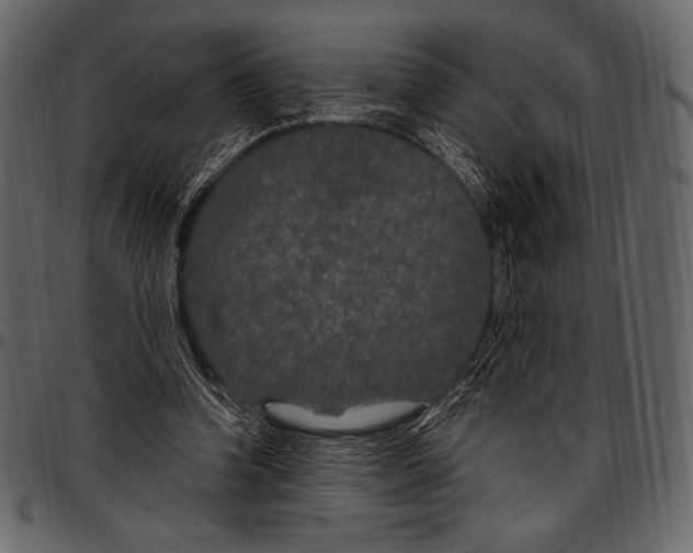 X0000097470346200803201452