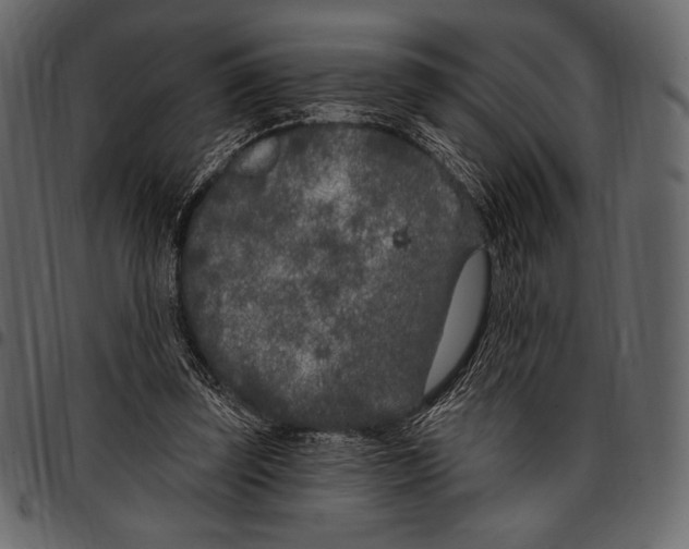 X0000097470347200803201452