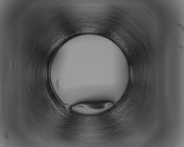 X0000097470348200803201452