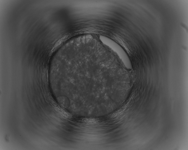 X0000097470349200803201452