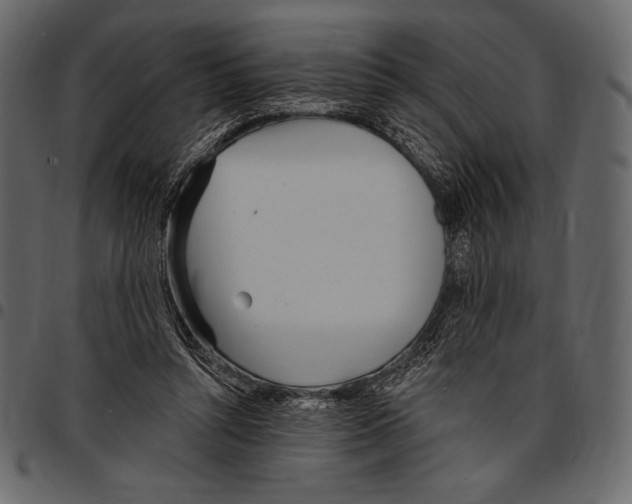 X0000097470352200803201453