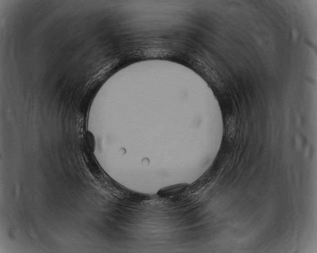 X0000097470356200803201453