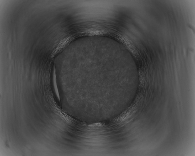 X0000097470357200803201453