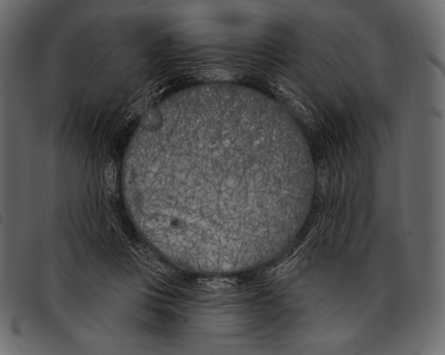 X0000097470359200803201453