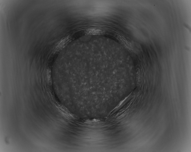 X0000097470361200803201453