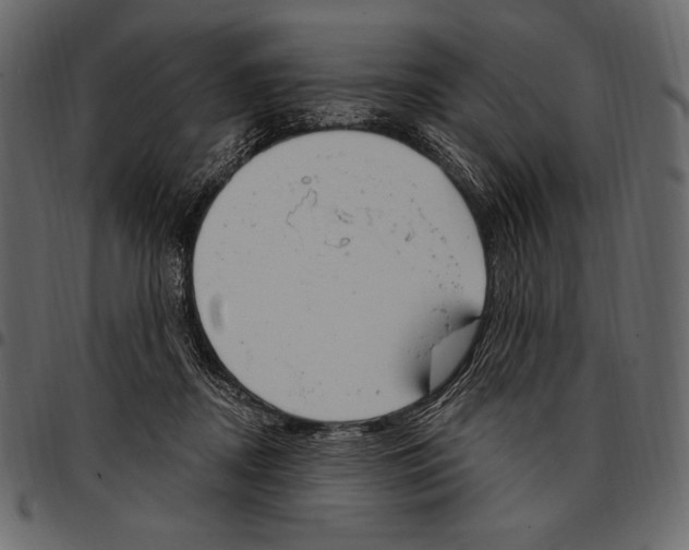 X0000097470362200803201453