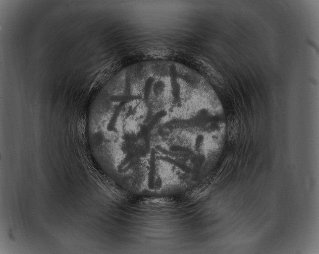 X0000097470365200803201453