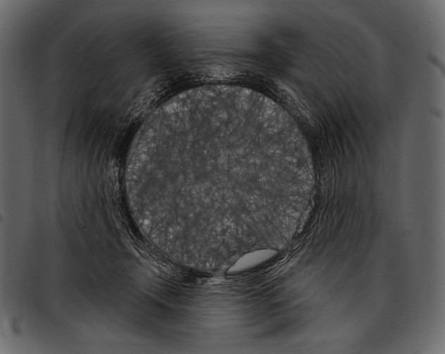 X0000097470366200803201453