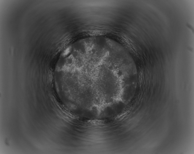 X0000097470367200803201453