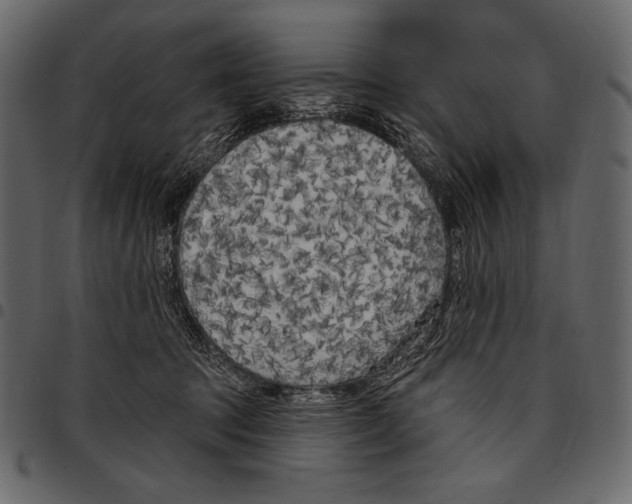 X0000097470369200803201453