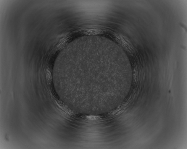 X0000097470371200803201453