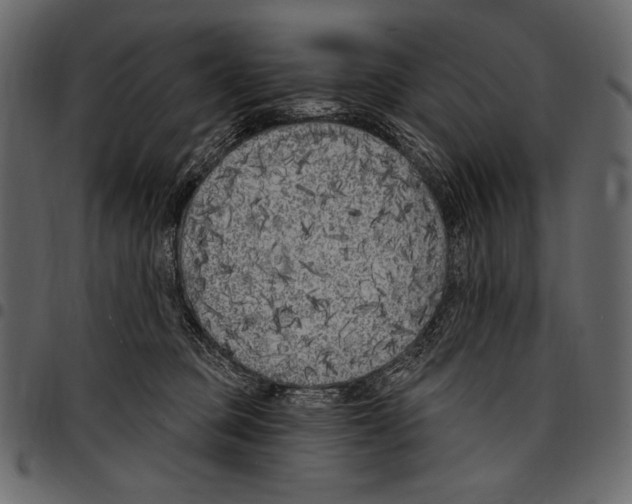 X0000097470373200803201453