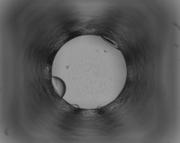 X0000097470378200803201453