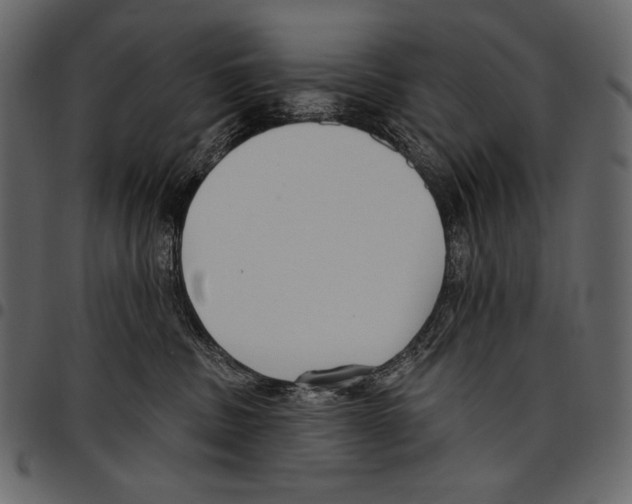 X0000097470379200803201453