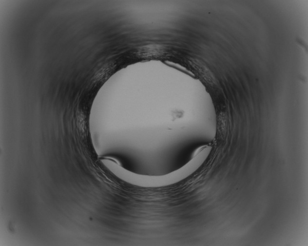 X0000097470380200803201453