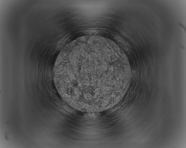 X0000097470381200803201453