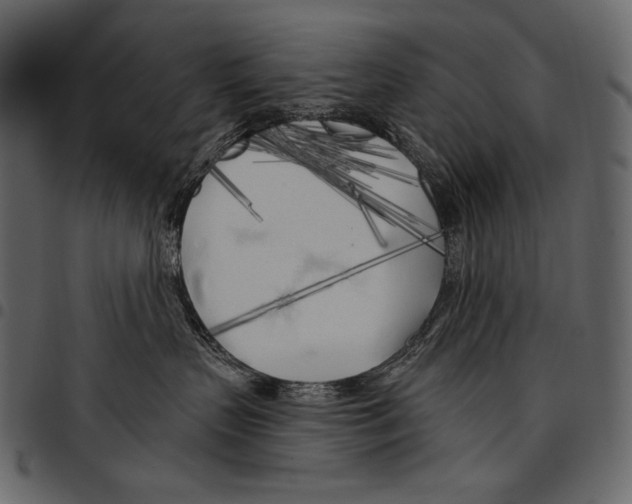 X0000097470383200803201453