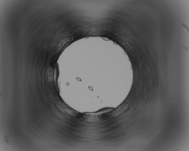 X0000097470384200803201453