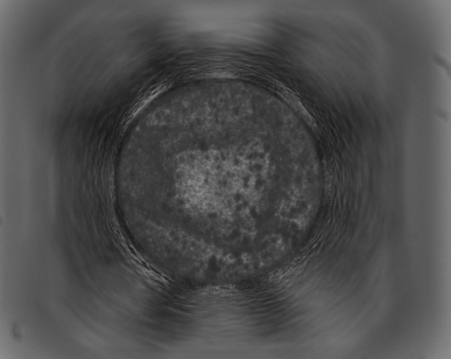 X0000097470386200803201452