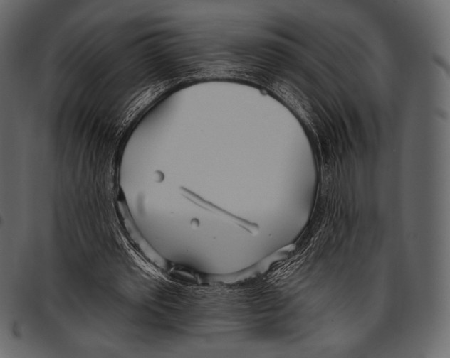 X0000097470389200803201452