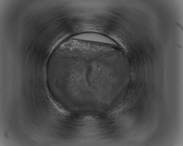 X0000097470390200803201452