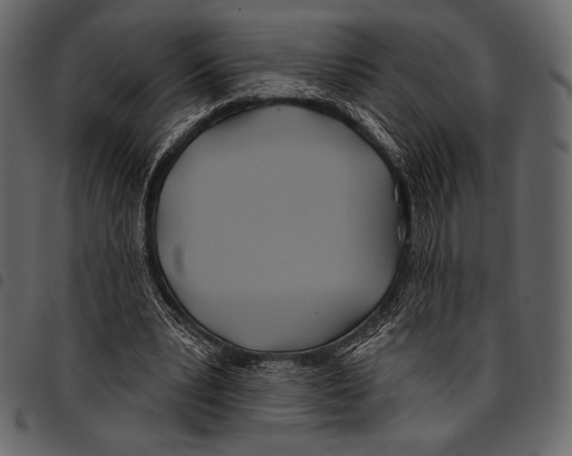 X0000097470391200803201452