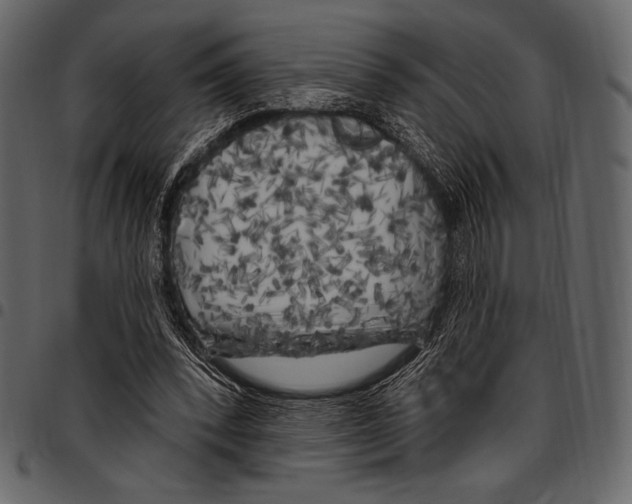 X0000097470392200803201452