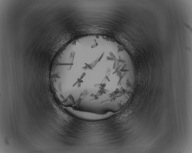 X0000097470394200803201452