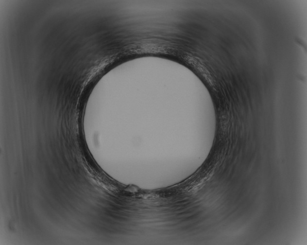 X0000097470395200803201452