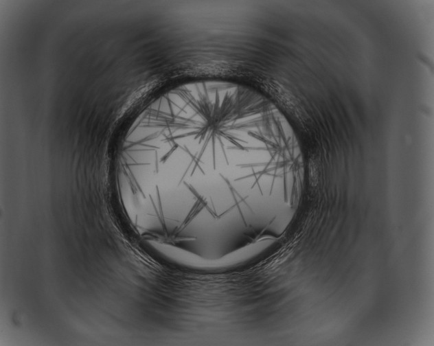 X0000097470396200803201452