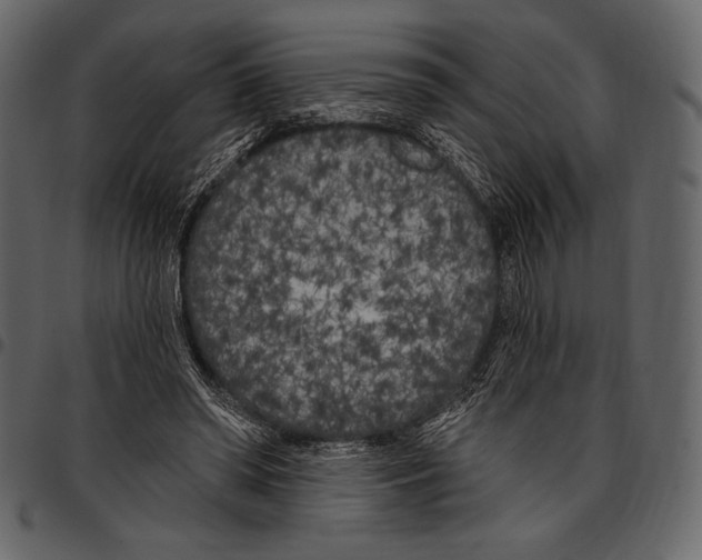 X0000097470398200803201452