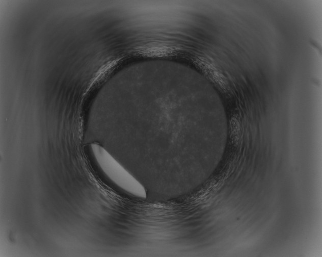 X0000097470400200803201452