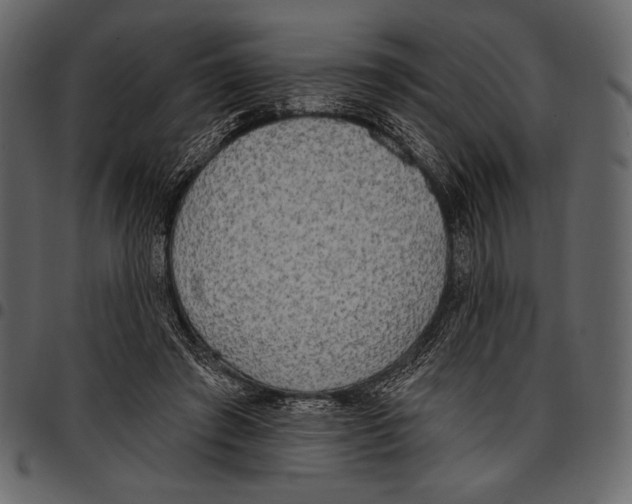 X0000097470401200803201452