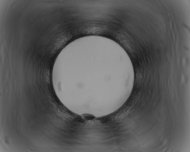 X0000097470403200803201452