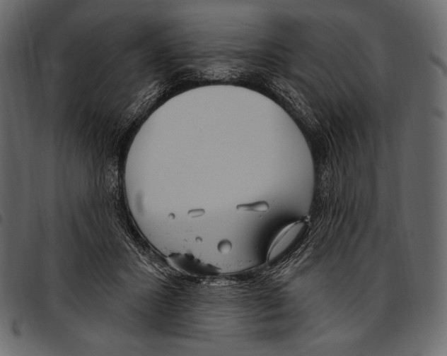 X0000097470407200803201452