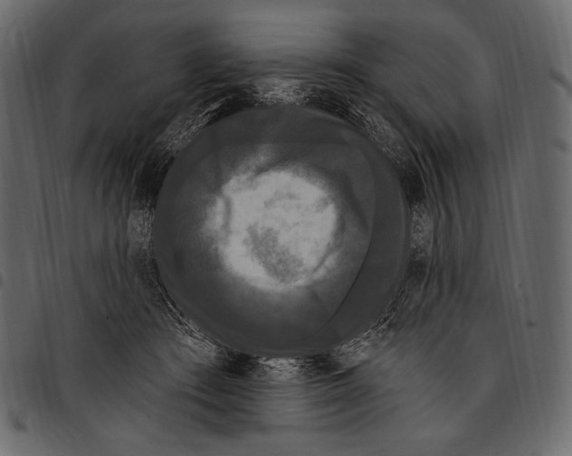 X0000097470409200803201452