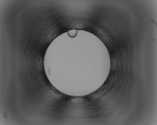 X0000097470414200803201452