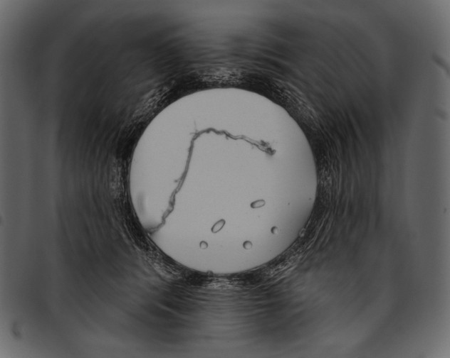 X0000097470416200803201452